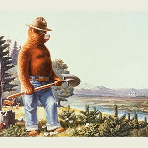 Friends of Smokey Bear Panel by Riley Blake Designs, PD16507