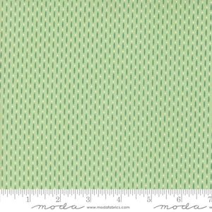 Raspberry Summer Yardage Beaded Blenders Mint by Sherri & Chelsi, Sold in 1/2 yard increments, Moda Fabrics, 37696 25