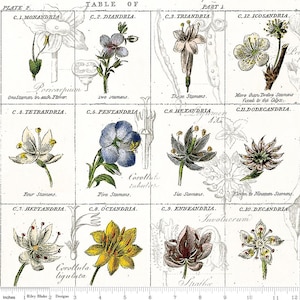 May include: A vintage botanical illustration depicting various flower types with their corresponding number of stamens. The illustration is divided into 10 sections, each labeled with a class and a description of the number of stamens. The illustration is printed on a white background with black lines and text.