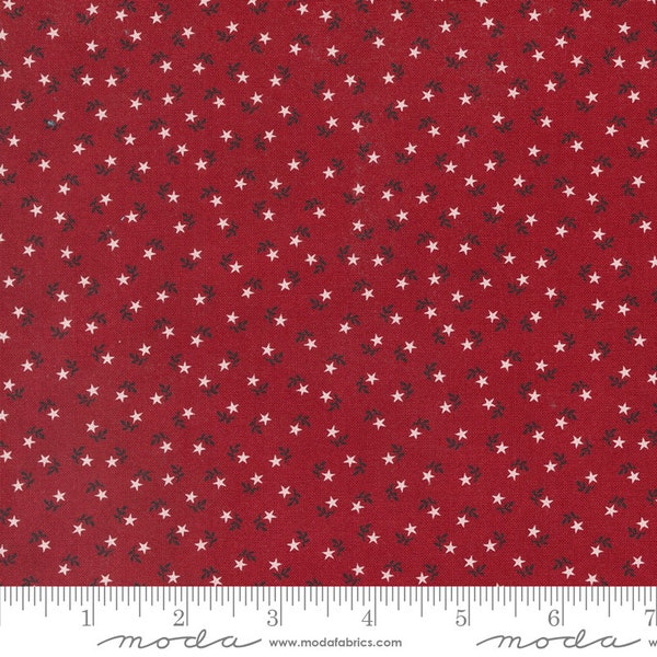 American Gatherings II Yardage Star Flower Heart Red, Primitive Gatherings, Sold in 1/2 yard increments, Moda Fabrics, 49249 12