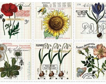 Art Journal-pagina's bloemenpatchpaneel van J Wecker Frisch, gedrukte grootboekpagina's bloemen, PD 13030, Riley Blake Designs