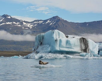 Framed Glacier Lagoon, nature photography from Iceland