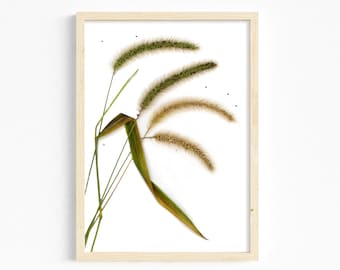 Windblown Grasses Wall Art Photography Print / 8X10 11X14 16X20 Nature Photo Botanical Art Print Sea Grass unframed