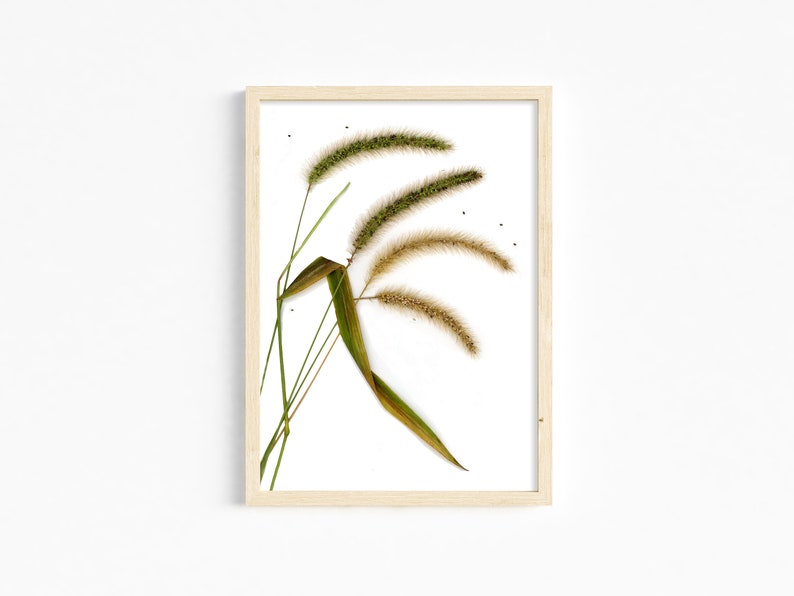 Windblown Grasses Wall Art Photography Print / 8X10 11X14 16X20 Nature Photo Botanical Art Print Sea Grass unframed image 1