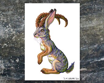 Creepy Jackalope Drawing