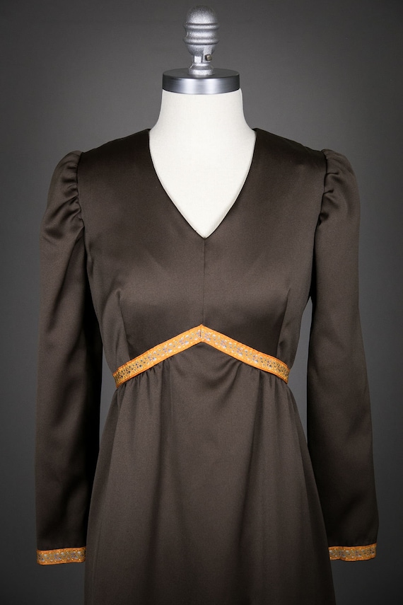 Vintage 1970s Long Sleeve Brown Evening Dress