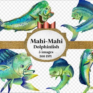 Watercolor fishing mahi mahi dolphinfish digital art graphics hand drawn illustration - clip art clipart png  - instant download commercial