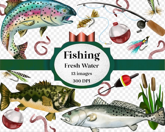 Watercolor Fishing Clipart Clip Art Digital Png Hand Drawn Artwork  Transparent Background bass, Trout, Worm, Fishing Pole, Speckled Trout 