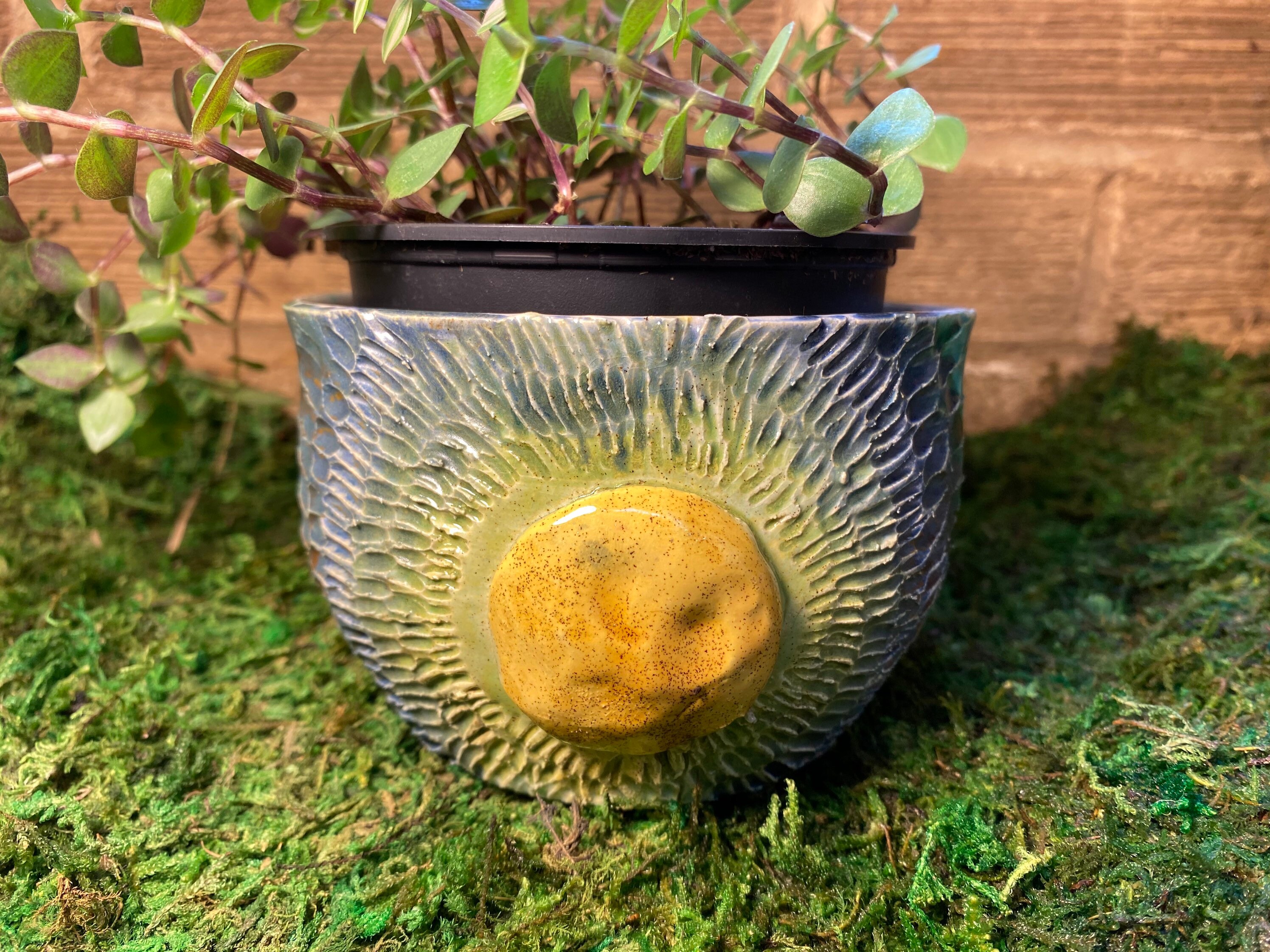 Moon Planter // phases of the moon // indoor planter // Etsy