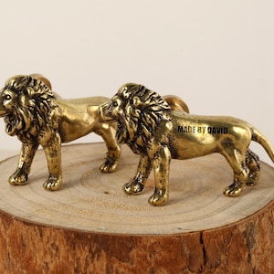 Pomelli in ottone massiccio a forma di leone, maniglie per cassetti con motivo a animale, pomelli per cassettiere con incisione personalizzata, maniglie di ricambio per mobili, maniglie per porte di guardaroba