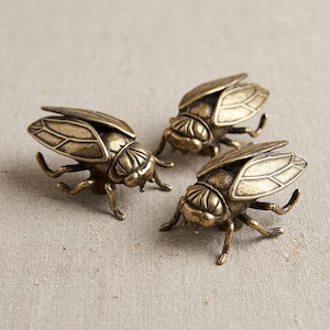 Cicada mässingsknopp, unik insektsskåpsknopp, möbelförbättringshandtag, specialanpassade snidade byråhandtag, insektsdörrhandtag