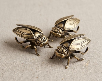 Cicada brass drawer knob,unique Bug cabinet knob,furniture improvement handle,Custom Engarved dresser replacement pulls,Insect door handles