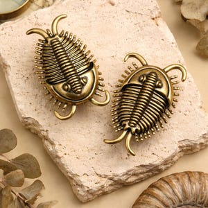 Pomo de trilobite de latón antiguo, tirador de cajón de gabinete fósil, tirador de repuesto para muebles grabado personalizado, herraje de tocador con insectos prehistóricos