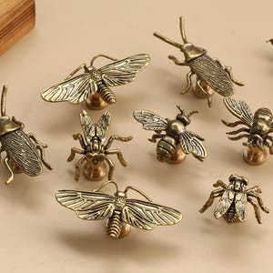 May include: A collection of brass-toned insect-shaped cabinet knobs. The knobs include detailed designs of a moth, bee, beetle, and other insects. Each knob is mounted on a small, round base.