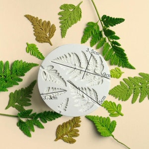 May include: White silicone mold with five fern leaf shapes. The mold measures 9 cm in diameter and 3.5 cm in height. The fern leaf shapes are 3.3 cm and 5 cm in length.