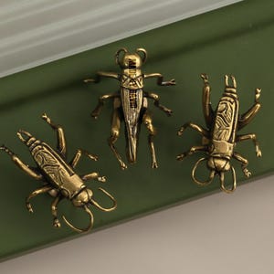 May include: Three brass-coloured insect-shaped decorative objects. The insects are arranged on a green surface. Each insect has detailed legs, antennae, and body markings. The objects appear to be decorative hardware.