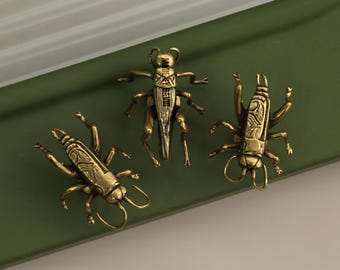 Cricket Grasshopper brass drawer knob,Insect cabinet knobs,furniture improvement replacement knobs,dresser pull,Bug door handle,Kitchen pull
