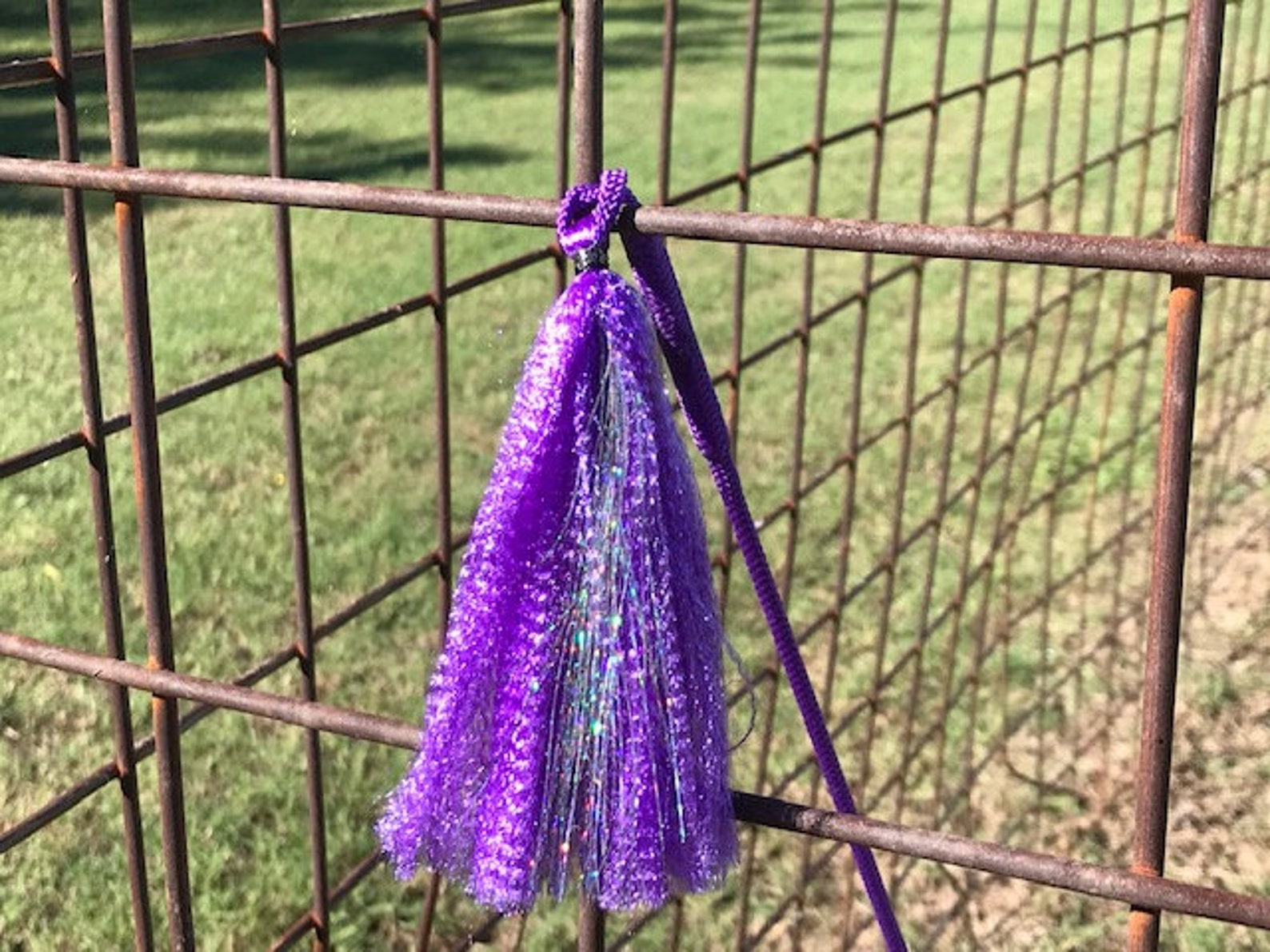 Pig Whip Purple & Silver Show Stick Etsy