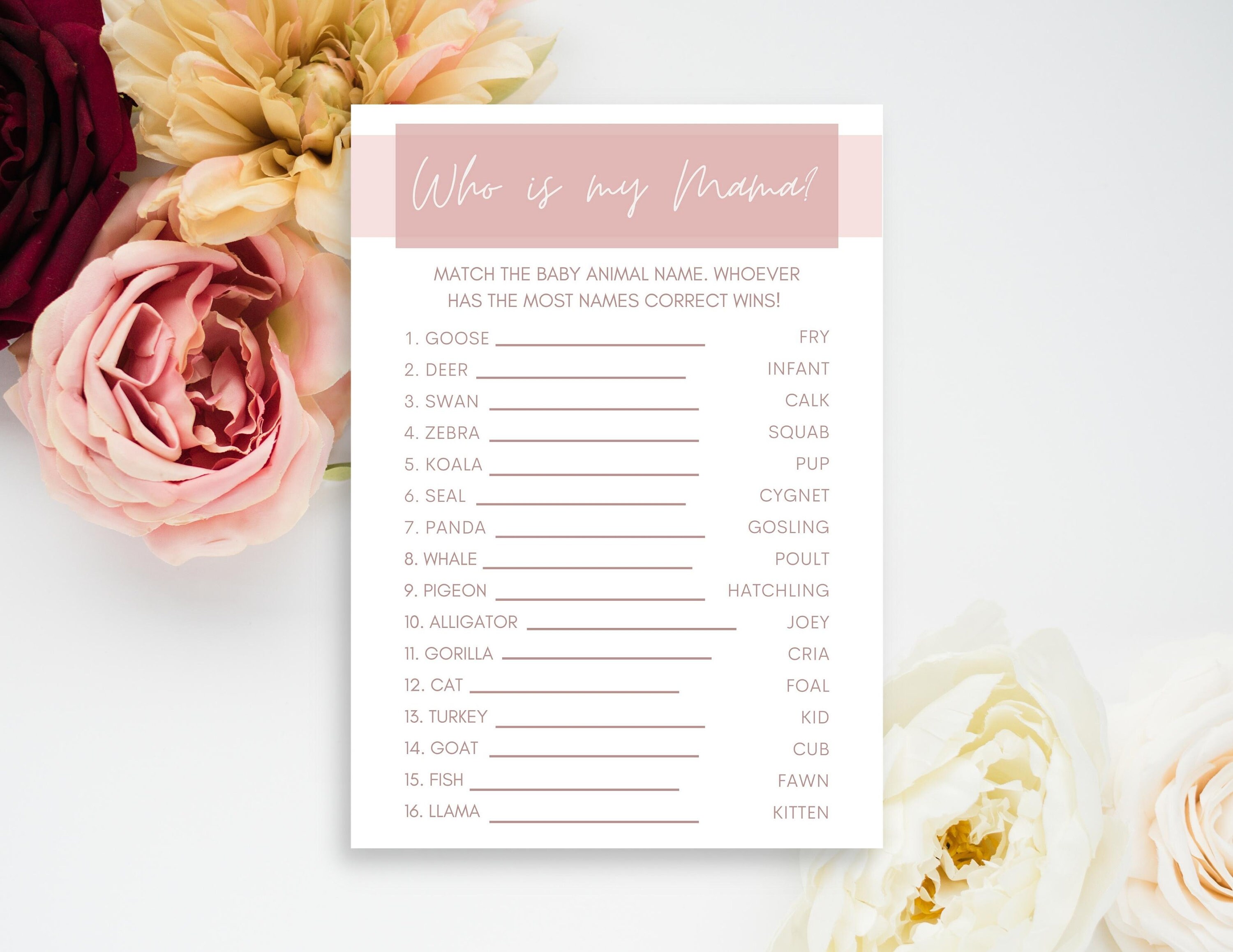 Baby Shower Game Baby Shower Game Printable Girl Baby Shower Game Who ...
