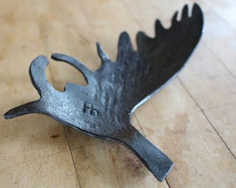 Moose Antler Bottle Opener