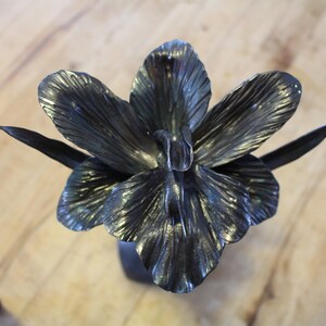 Orchid, Hand Forged Iron image 4