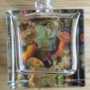Handmade Perfume "North Pacific Shoreline," Natural Ambergris, Fir Balsam Absolute and Oakmoss by Meleg Perfumes