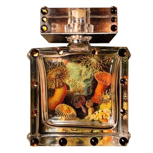 Handmade Ambergris Perfume "North Pacific Shoreline," Natural Ambergris, Fir Balsam Absolute and Oakmoss by Meleg Perfumes