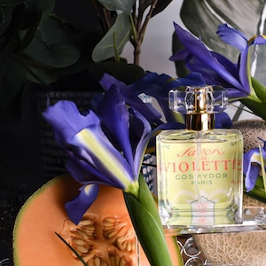 Handmade Perfume, “Winter Mellon,” with REAL orris butter, Melon Accord, Violet Leaf and Cocoa Absolute by Meleg Perfumes
