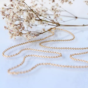 May include: A delicate gold chain necklace on a white background with dried white flowers.