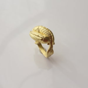 May include: A gold-colored ring featuring a detailed fish design. The fish is curled around the ring's band, with textured scales and fins. The ring is set against a white background, highlighting the jewelry's intricate details.