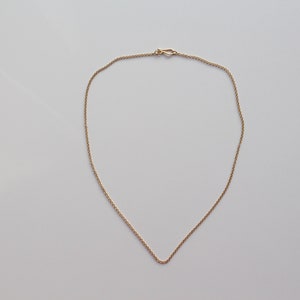 May include: A simple gold chain necklace with a lobster clasp.
