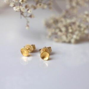 May include: A pair of gold-toned stud earrings with a slightly rounded, textured disc shape.