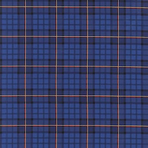 Op de afbeelding: Blauw geruit stof met rode en gouden strepen. De stof wordt gemeten in inches.