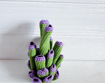 Big Coral Reef Crochet Set, Handmade Sea Animals Decor, Ocean Themed Gift, Crochet Coral Reef, Nursery Ocean Decor