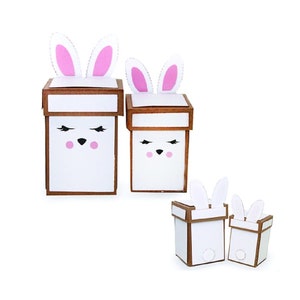 3D Box Svg, Box Template, Gift Box template, Gift Box SVG, Party Favor Box, Cut file for Cricut, Silhouette, svg, dxf, Nesting Bunny Box