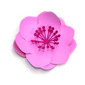 Clara Medium Flower, 3d paper flower svg, flower template, paper flower svg, 3d paper flower, Cut Files, svg, PNG, DXF, Cricut, Silhouette
