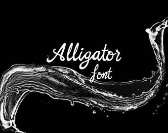 CG Alligator Font