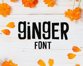 CG Ginger Font