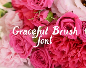 CG Graceful Thick Font