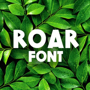 Craft Fonts, Cricut Fonts, Silhouette Fonts, Procreate Fonts, Canva Fonts, Handgeschriebene Schriftarten, Kommerzielle Nutzung Schriftarten, Text