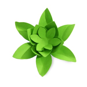 3D succulent, paper succulent, Cacti, succulent, flower template, paper craft, diy, Cut files for cricut, for silhouette, svg, dxf