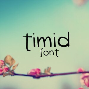 CG Timid Font, Cricut Fonts, Silhouette Fonts, Craft Fonts, Procreate Fonts, Canva Fonts, Handwritten Fonts, Commercial Use Fonts, Text