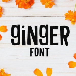 Silhouette Fonts, Craft Fonts, Procreate Fonts, Canva Fonts, Handgeschriebene Schriftarten, Kommerzielle Nutzung Schriftarten, Text, Cricut Fonts