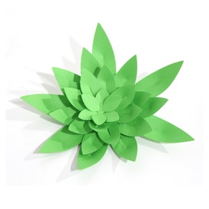 3D suculento, suculento de papel, cactus, suculento, plantilla de flores, arte de papel, diy, archivos de corte para cricut, para silueta, svg, dxf