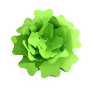 3D succulent, paper succulent, Cacti, succulent, flower template, paper craft, diy, Cut files for cricut, for silhouette, svg, dxf