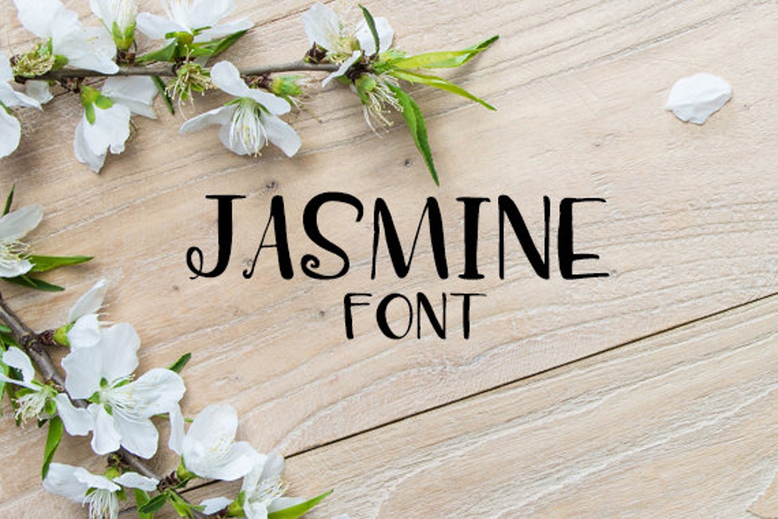 CG Jasmine Font Etsy