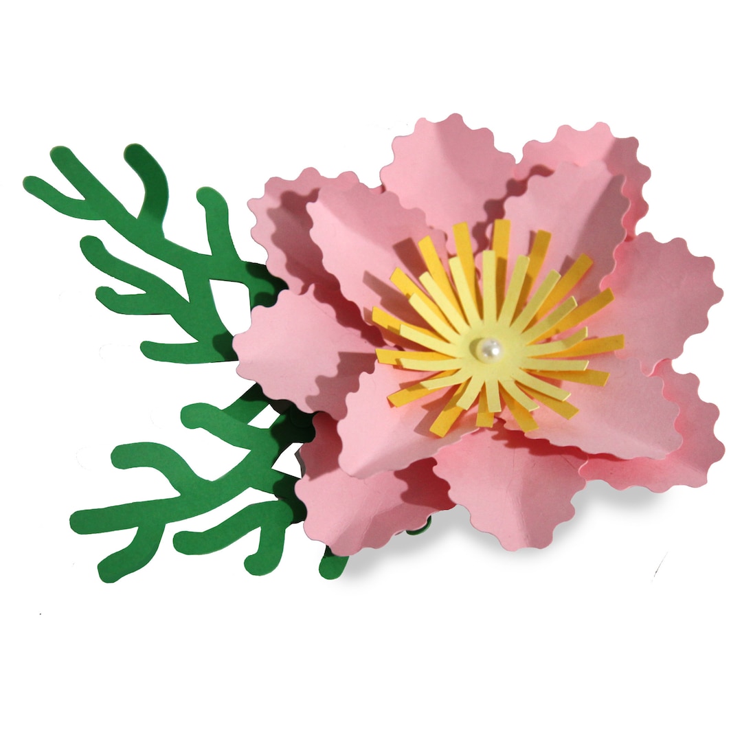 3d Paper Flower Svg, Flower Template, Paper Flower Svg, 3d Paper Flower
