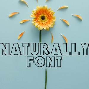 Handgeschriebene Schriftarten, Cricut Fonts, Silhouette Fonts, Craft Fonts, Procreate Fonts, Canva Fonts, Kommerzielle Nutzung Schriftarten, Text