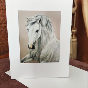 Passepartout Kunstkarte Pferd weißes Pferd DIN A6 Format