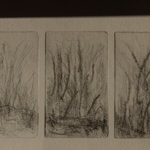 Garten Tryptic Dry Point Druck